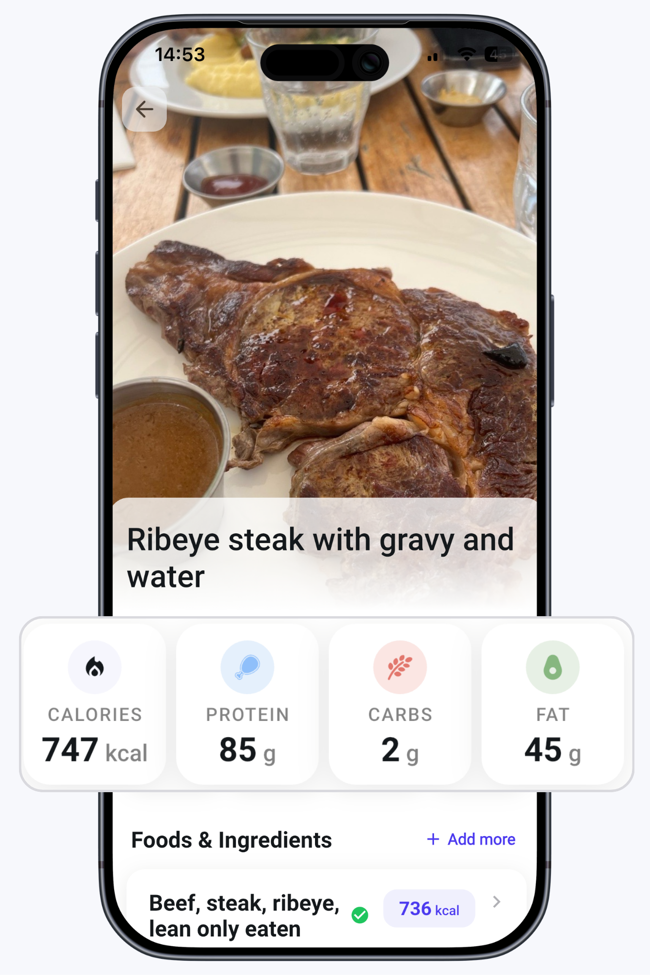 Scanning a meal with the camera